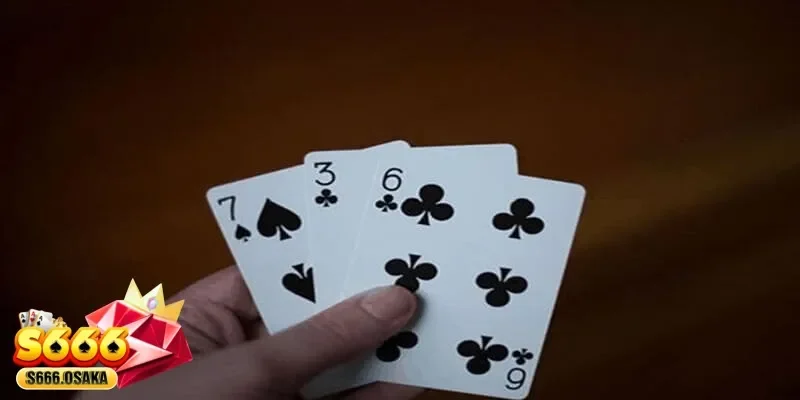 3 cây