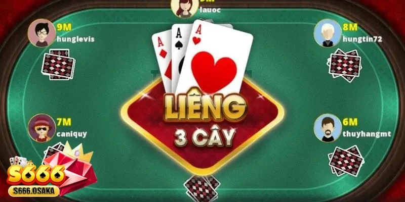 3 cây